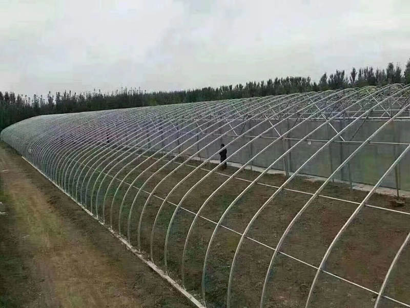 全鋼架橢圓管暖棚.jpg