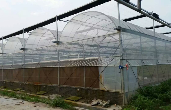 溫室大棚